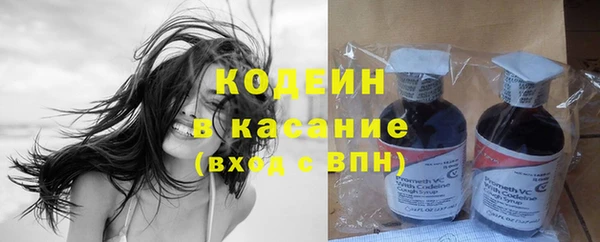 прущие грибы Арсеньев