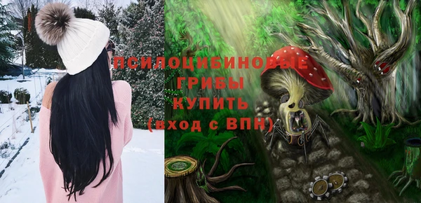 молекула духа Аркадак