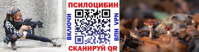 Псилоцибиновые грибы Psilocybine cubensis  купить закладку  Жиздра 